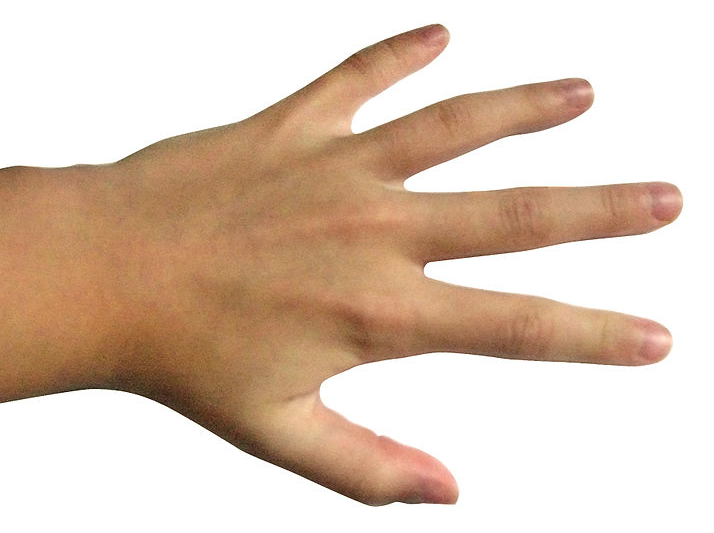 The Story of our Fingers image